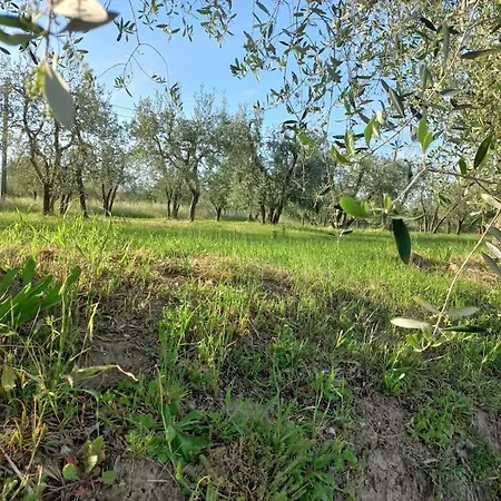 Podere Campanella Semesterbostad Sinalunga