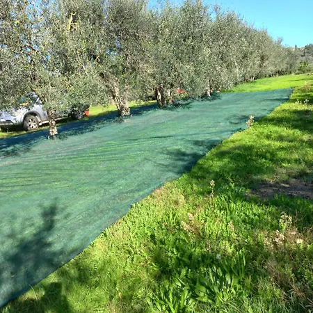 Podere Campanella * Sinalunga