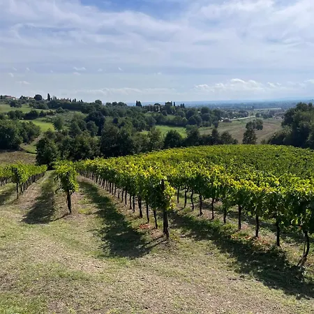 Podere Campanella Holiday home *