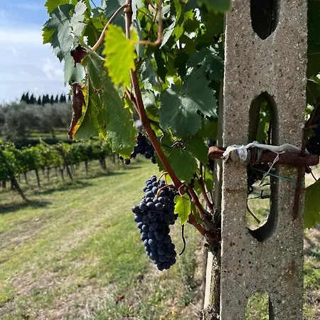 Podere Campanella Holiday home