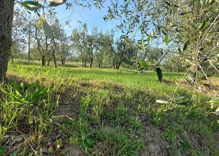 Podere Campanella Casa de Férias Sinalunga