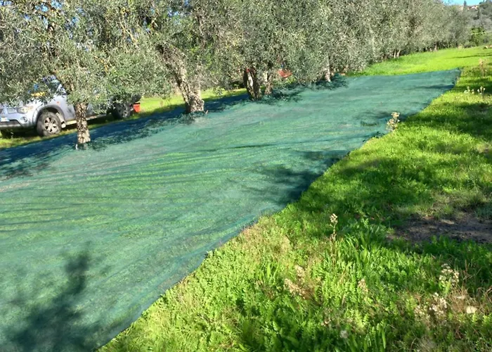 Podere Campanella * Sinalunga