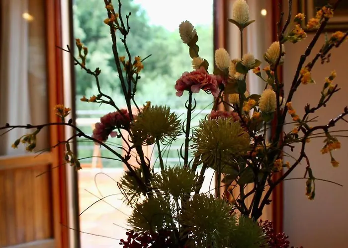 Podere Campanella Sinalunga