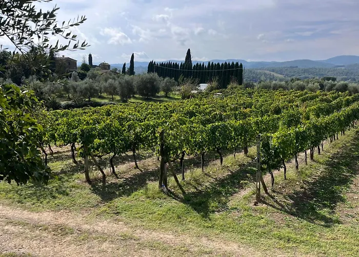 Casa vacanze Podere Campanella Sinalunga