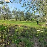 Podere Campanella Σπίτι διακοπών Sinalunga