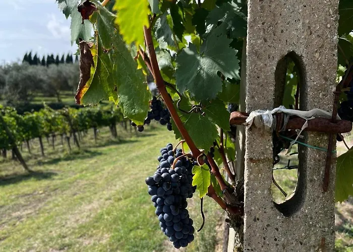 Podere Campanella بيت للعطل